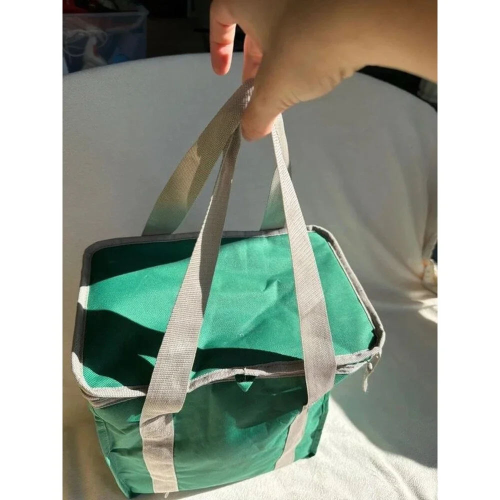 Whole Foods Market shopping bag insulated reusable green gray clean